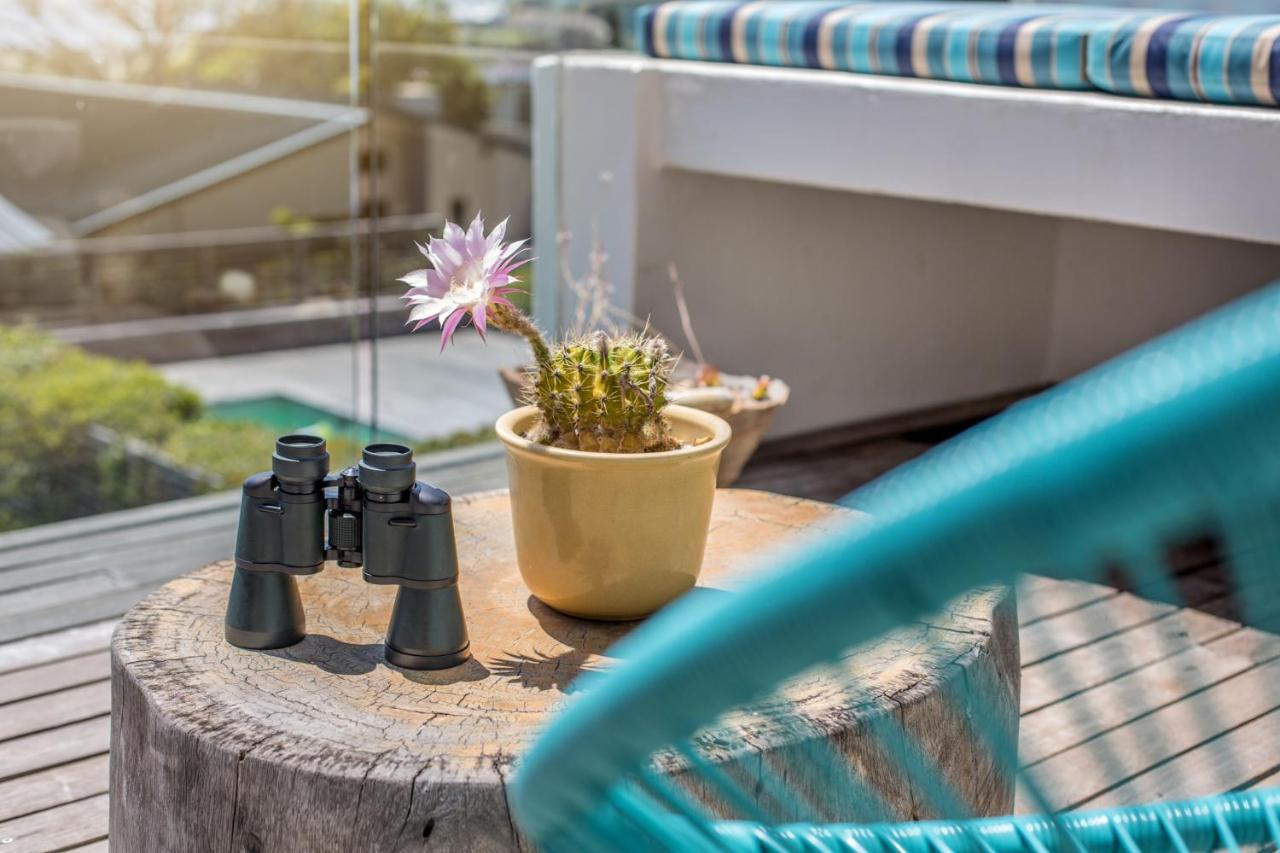 فندق Far Horizons Camps Bay كيب تاون المظهر الخارجي الصورة